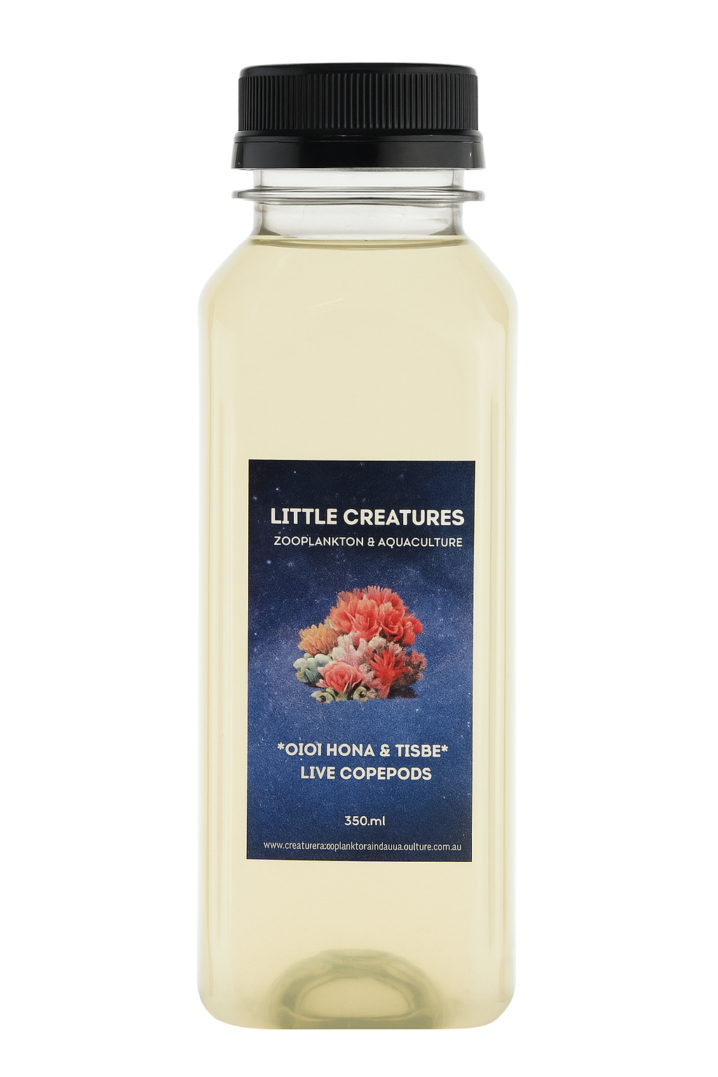 What to Look for in a Bottle of Live Copepods