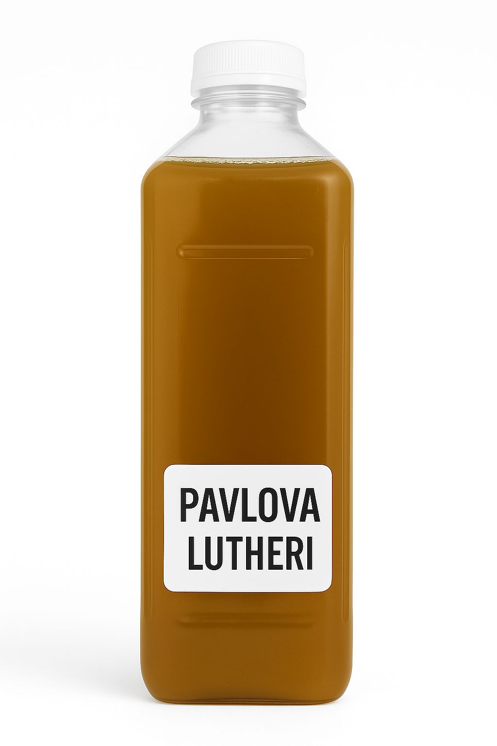 Pavlova lutheri "starter culture"