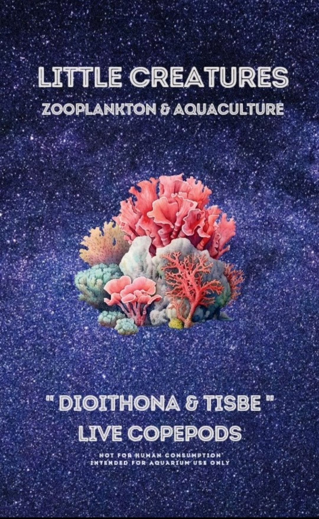 TISBE + OITHONA LIVE COPEPODS