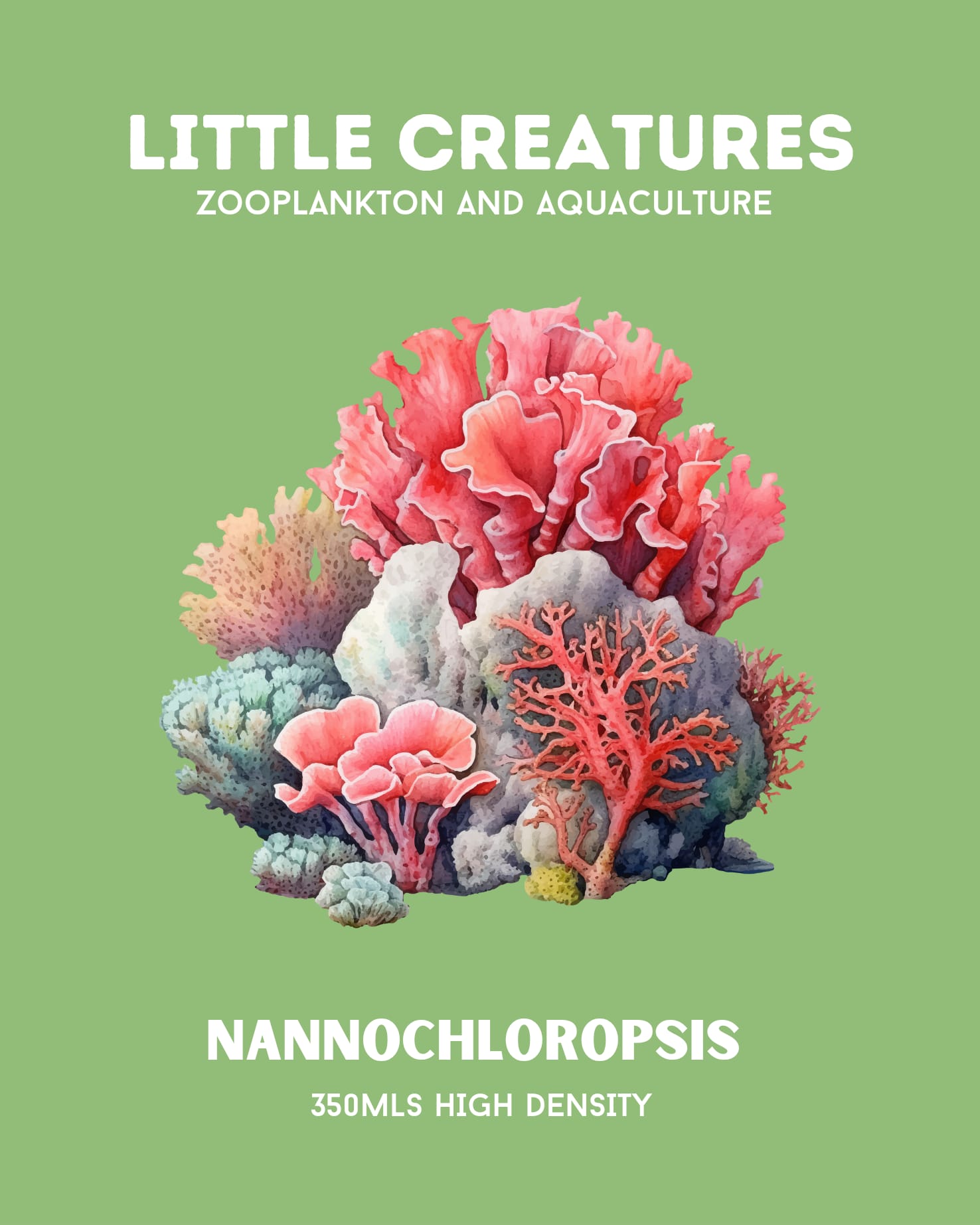 WHOLESALE LIVE PHYTOPLANKTON