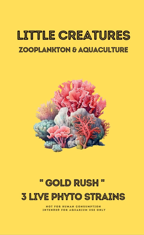 WHOLESALE LIVE PHYTOPLANKTON