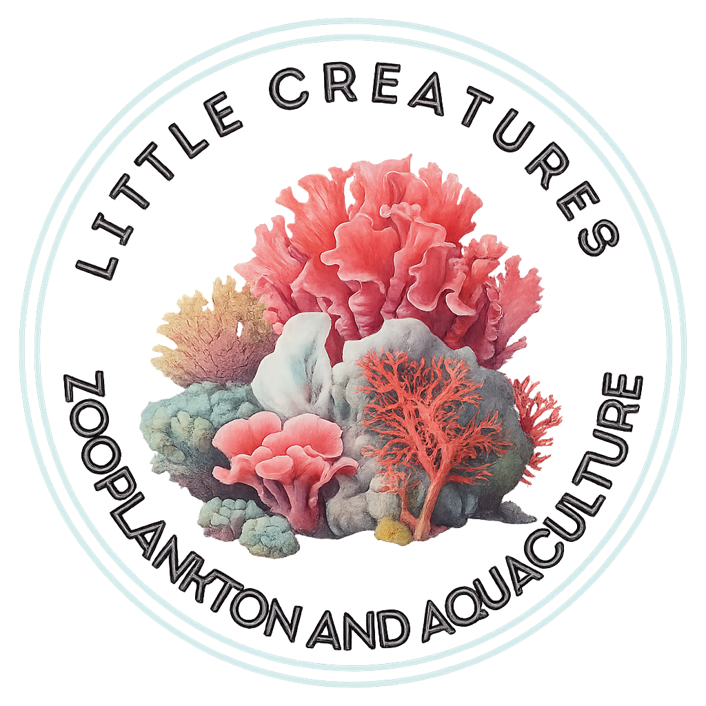 Why Aquarists Are Sticking with Little Creatures Zooplankton