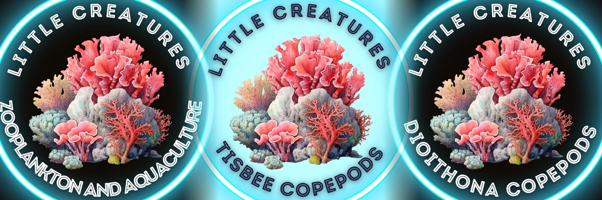 TISBE-LIVE-COPEPODS