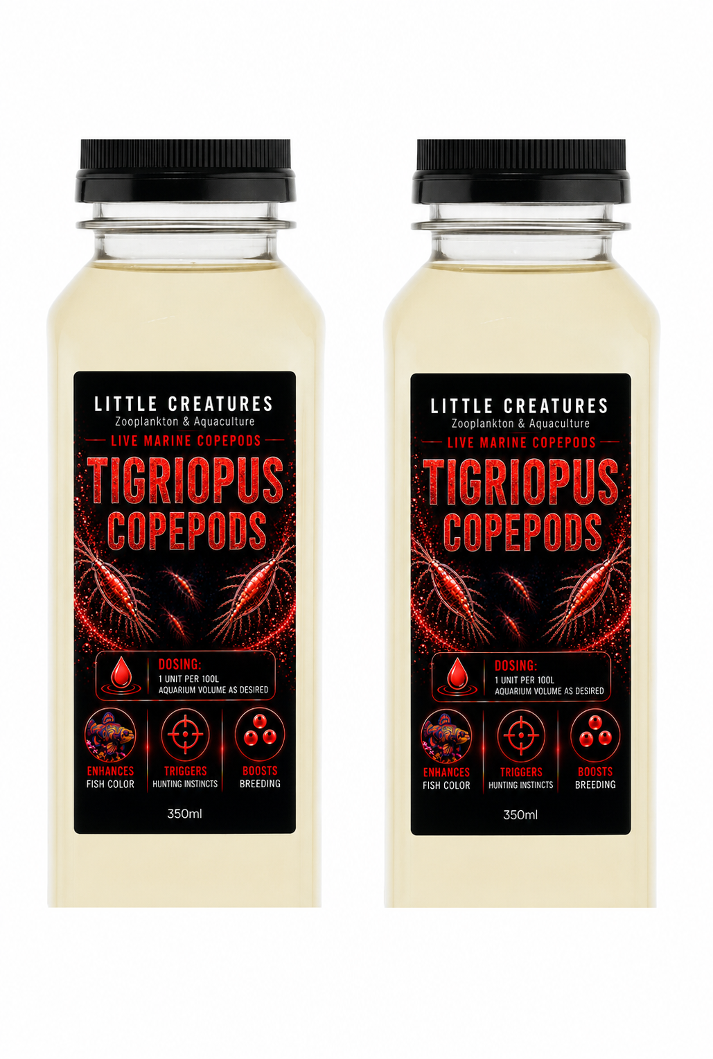 Wholesale Tigriopus copepods