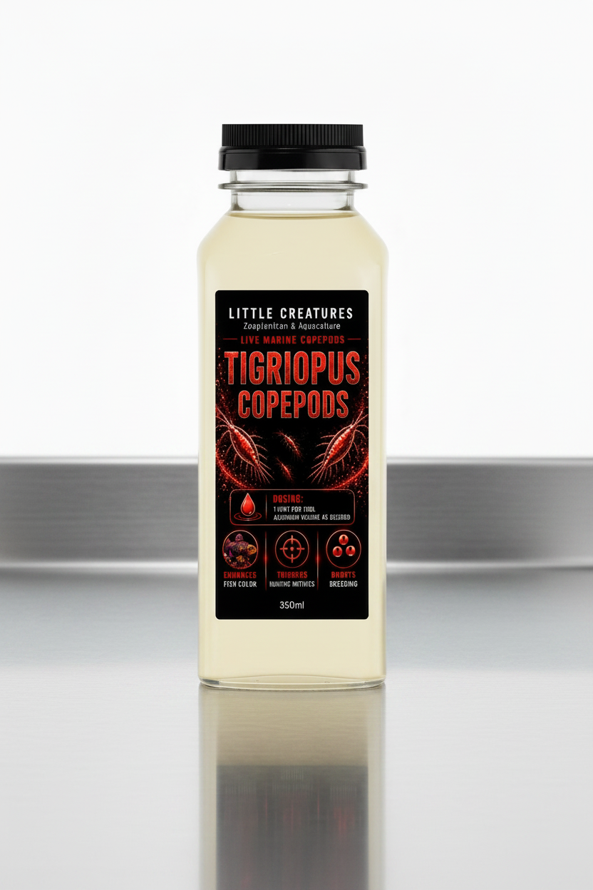 Wholesale Tigriopus copepods