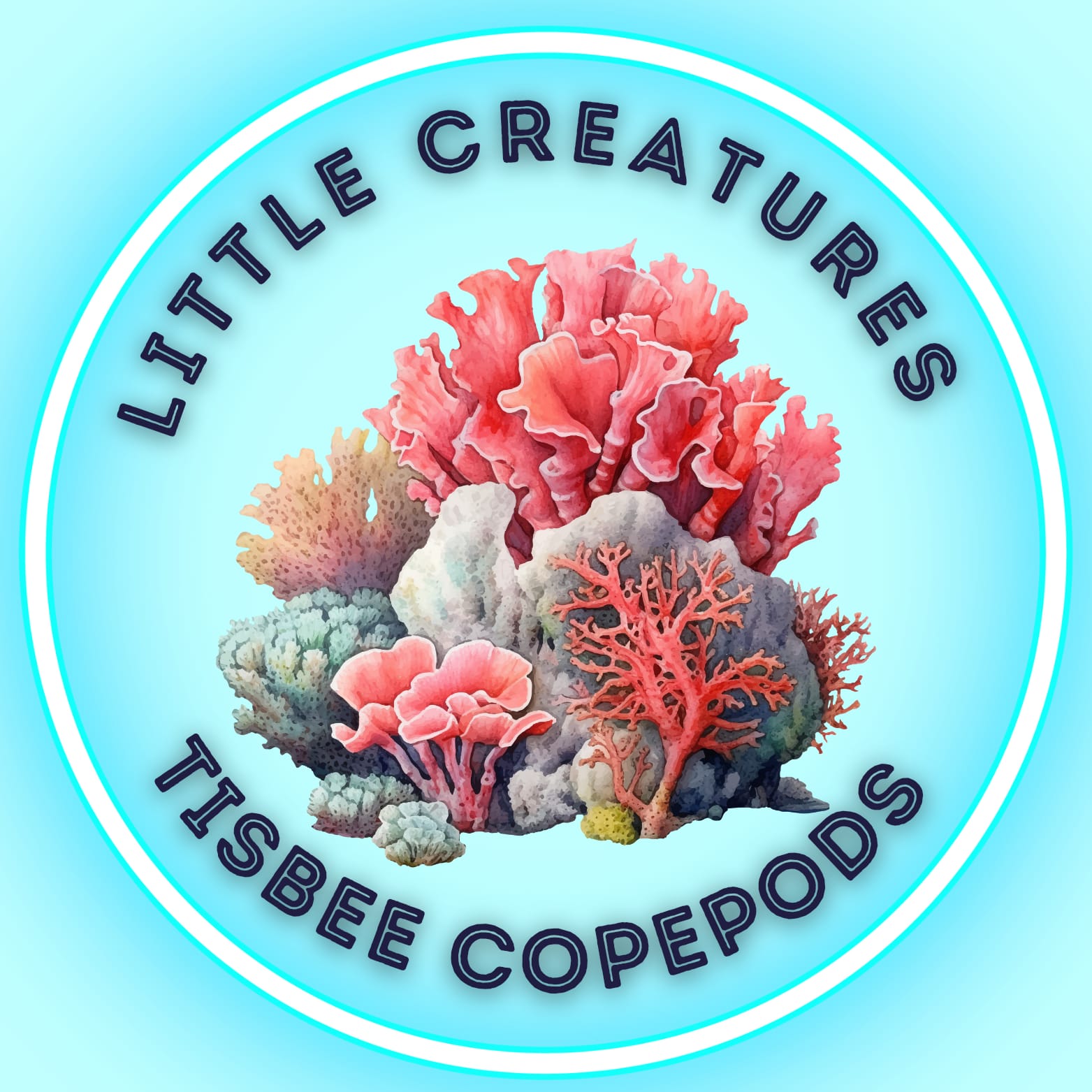 TISBE-LIVE-COPEPODS